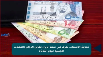 تحديث الأسعار.. تعرف على سعر الريال مقابل الدولار والعملات الأجنبية اليوم الثلاثاء